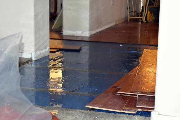 Professional Burst Pipe Cleanup technician working in Mingus, TX